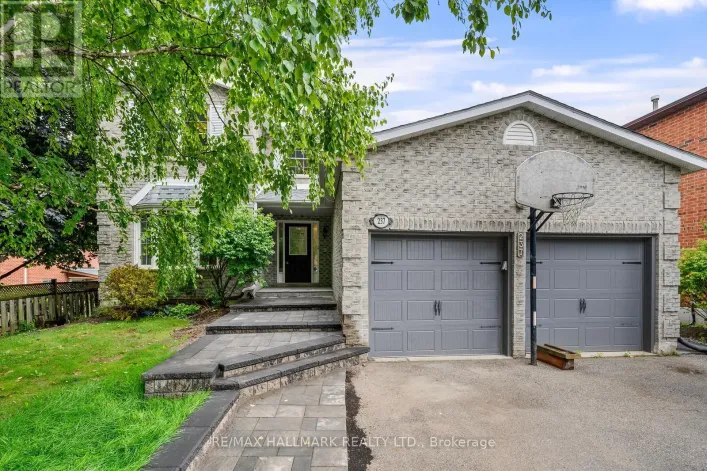 GROUND - 237 OSMOND CRESCENT, Newmarket