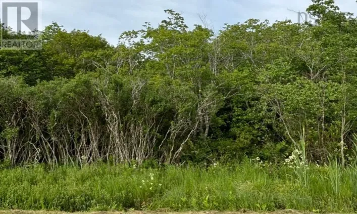 Highway 1, Church Point