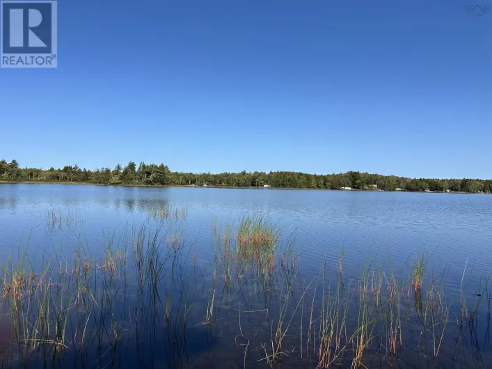 Highway 101, Grosses Coques