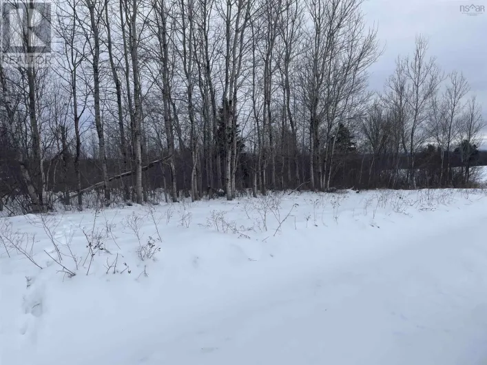 Highway 204, Little River