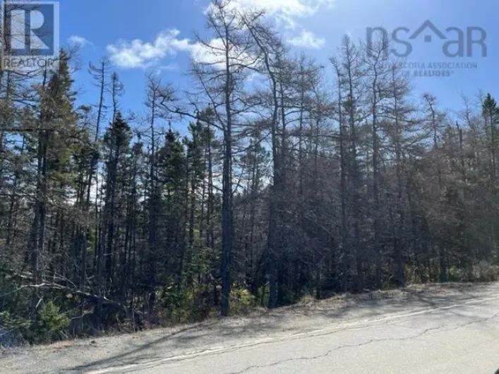 Highway 206, Martinique