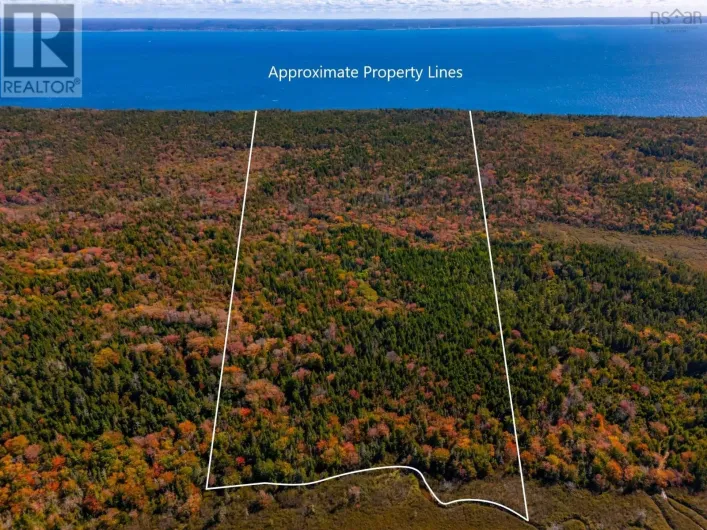 Highway 217, Central Grove