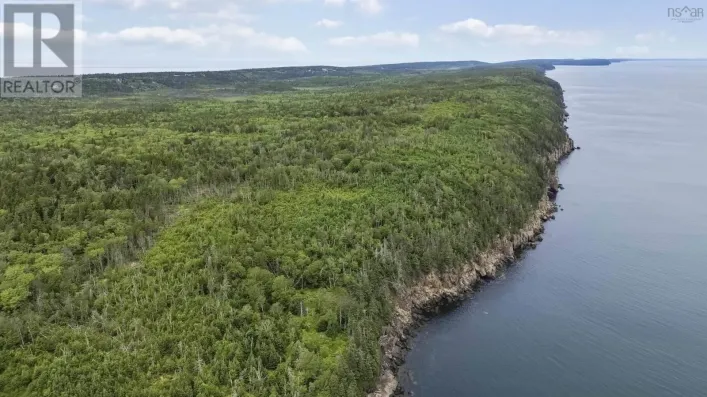 Highway 217, Central Grove