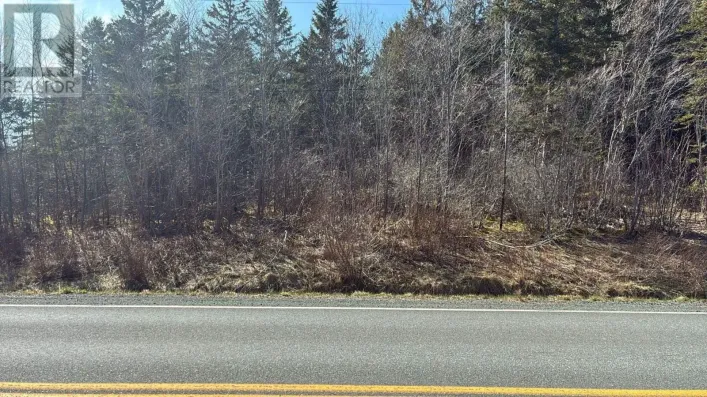Highway#7, Ashdale