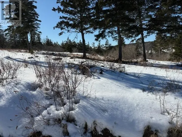 Hirtles Beach Road, Kingsburg