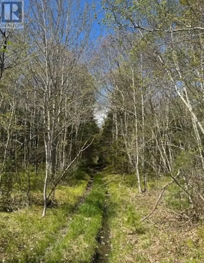 James Street, Brooklyn