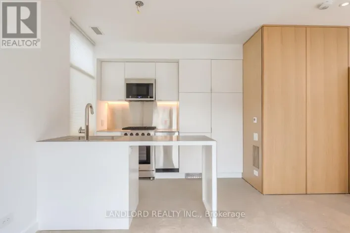 LANEWAY - 429 BROCK AVENUE, Toronto