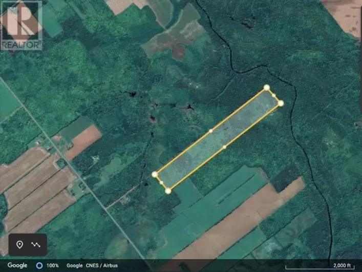 Little Pond Road, Little Pond