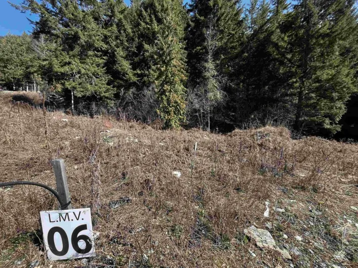 LMV6 OLD HOPE PRINCETON HIGHWAY|Sunshine Valley, Sunshine Valley