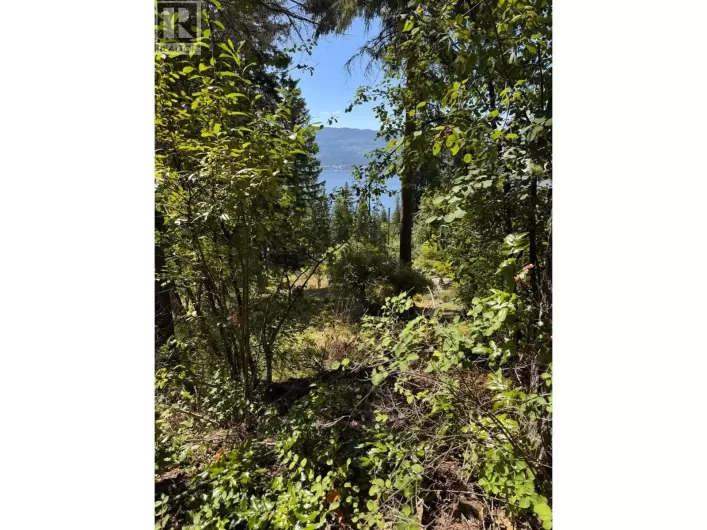 Lonneke Trail Lot# 52, Anglemont