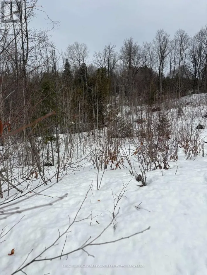 LOT 0 COUNTY ROAD 38, Frontenac