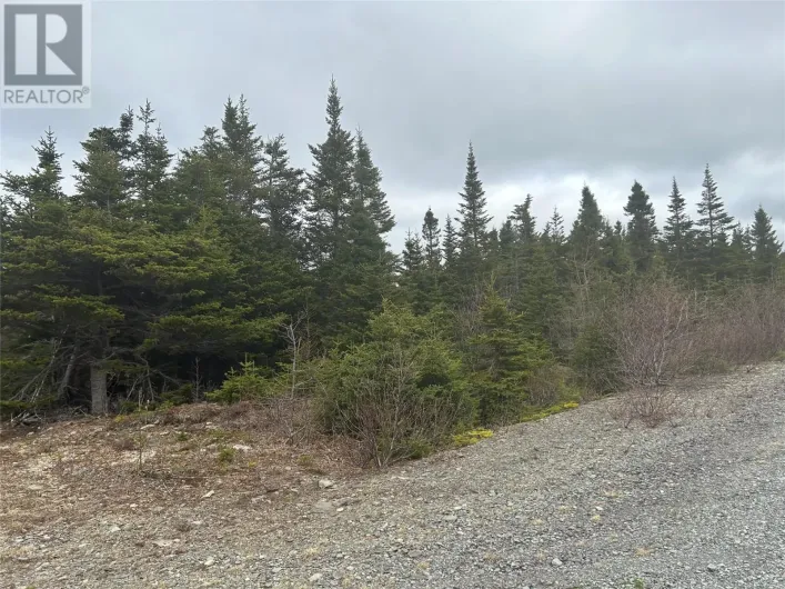 Lot # 02 Quarry Road, Burgoynes Cove