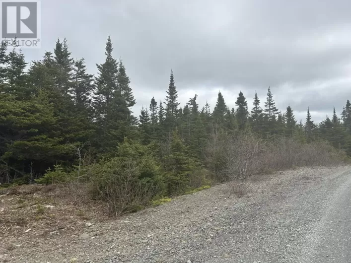Lot # 06 Quarry Road, Burgoynes Cove