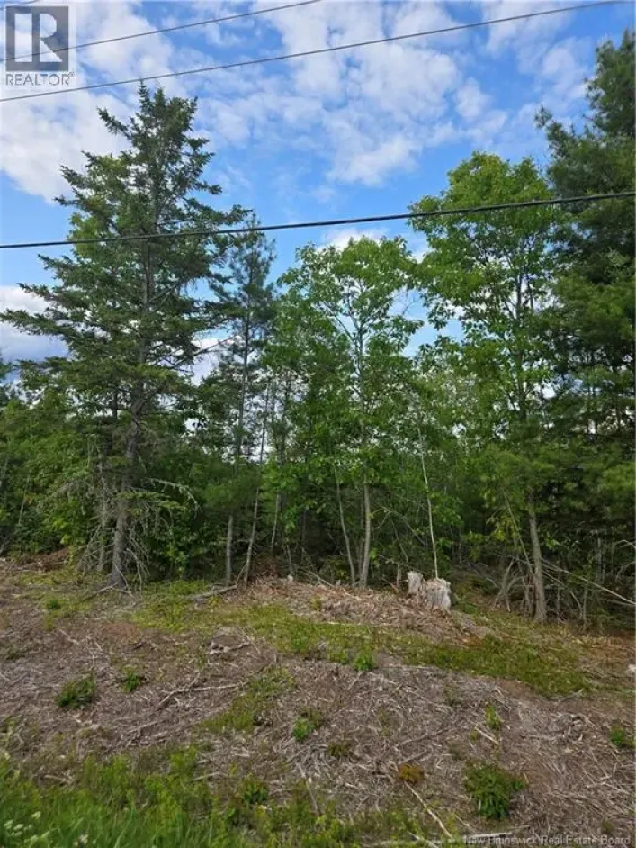 Lot 09-15 Route 105, Jemseg