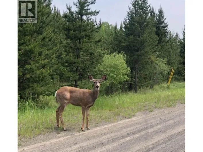 LOT 1 5916 LITTLE FORT 24 HIGHWAY, Lone Butte