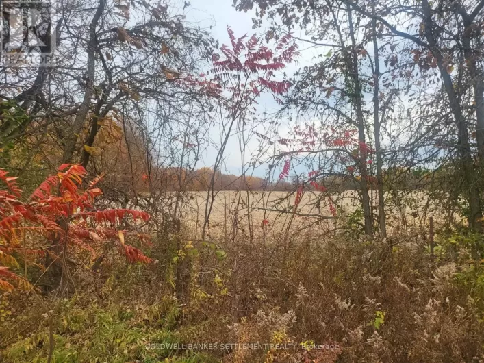 LOT 1 BUSH ROAD E, Rideau Lakes