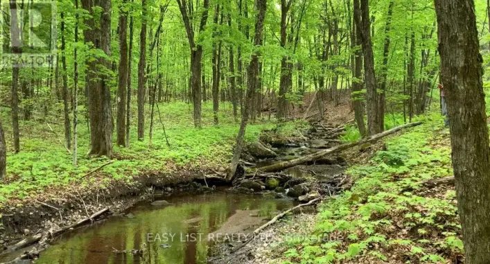 LOT 1 COLONIAL ROAD, Minden Hills