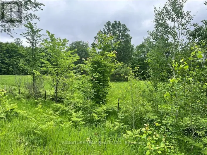 LOT 1 GRANTS SETTLEMENT ROAD, Whitewater Region