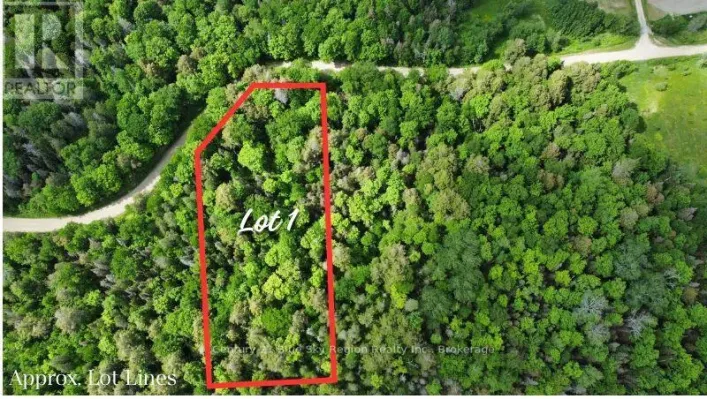 LOT 1 LATIMER LANE, Calvin