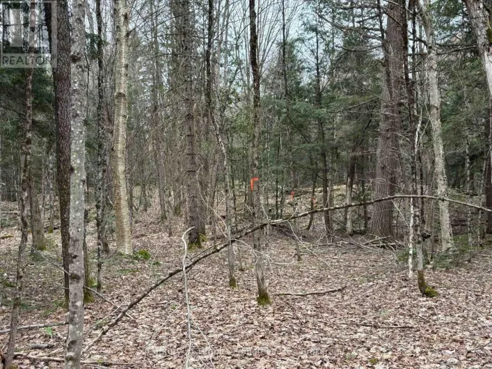 LOT 1 LOCH ERNE ROAD, McDougall