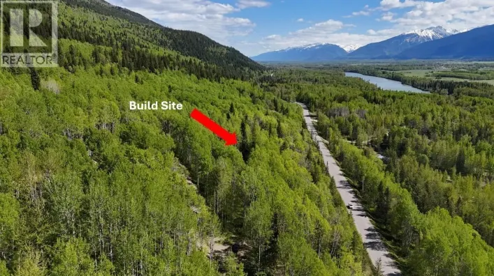 LOT 1 MOUNTAIN VIEW ROAD, McBride