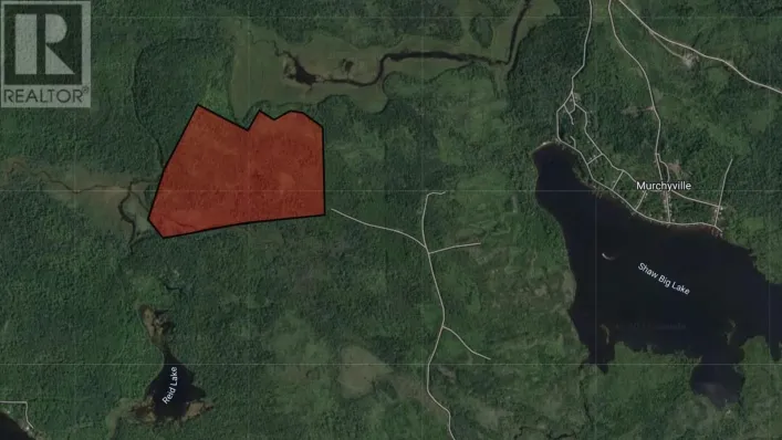 Lot 1 Shaw Big Lake, Murchyville