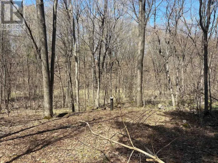 LOT 1 SWEETFERN LANE, Frontenac
