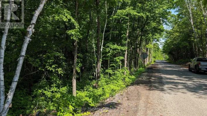 LOT 1 TALLY-HO WINTER PARK ROAD, Lake of Bays