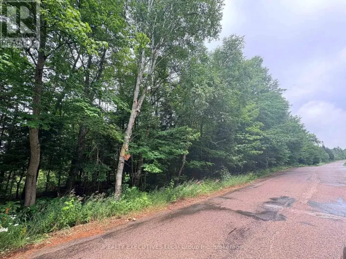 LOT 1 WIDDIFIELD STATION ROAD, North Bay