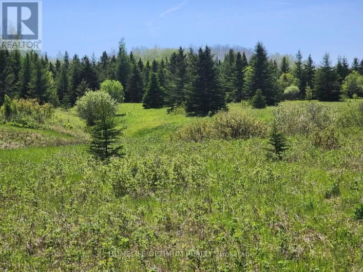 LOT 10 CON 5 N/A, Black River-Matheson