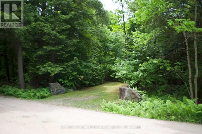 LOT 10 LOON LAKE ROAD S, Dysart et al