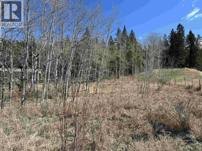 LOT 10 REITA CRESCENT, 100 Mile House