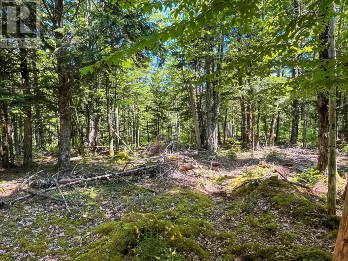 Lot 1000  Conquerall Road, Conquerall Bank