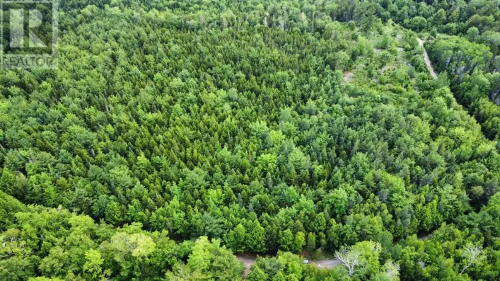 Lot 102 Arenburg Road, Buckfield