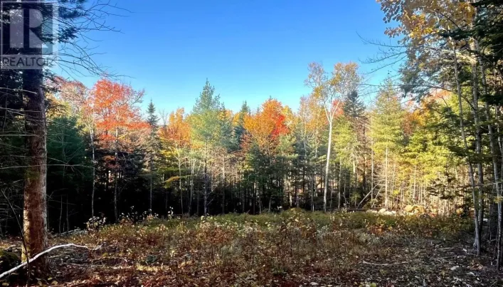 Lot 109 Blue Jay Way, Vaughan