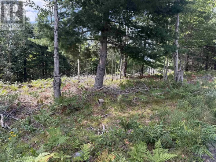 Lot 109 East Clifford Road, East Clifford