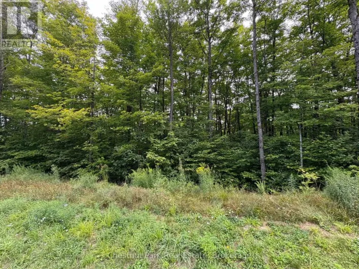 LOT 11 MILLIE'S WAY, Armour