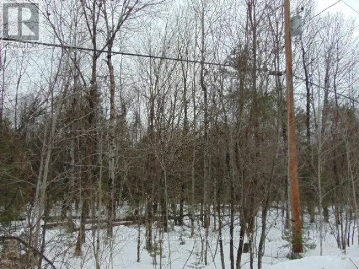 LOT 11 PLAN 580 NORTH DRIVE, Dysart et al