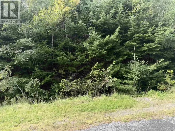 LOT 11 schaller Drive, Sydney Forks