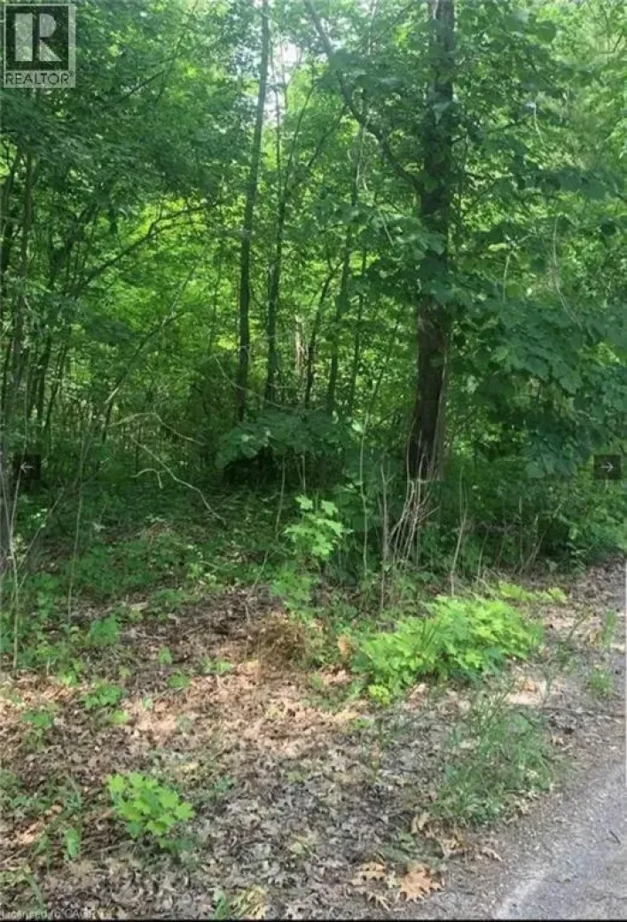 LOT 12 SUTER Drive, Kawartha Lakes