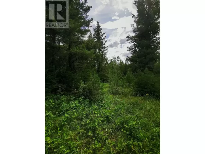LOT 14 PARK PLACE, Lac La Hache