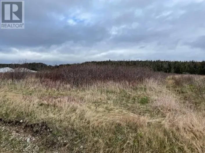 LOT 146 FRONT Road, PORT AU PORT WEST