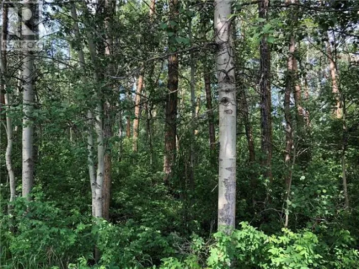 Lot 15 Campsite Road, Plamondon