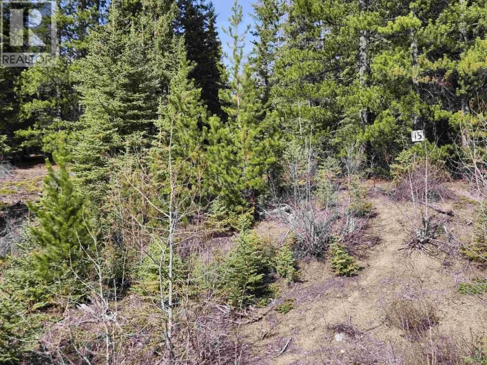 LOT 15 N BINTA MAIN FOREST SERVICE ROAD, Burns Lake