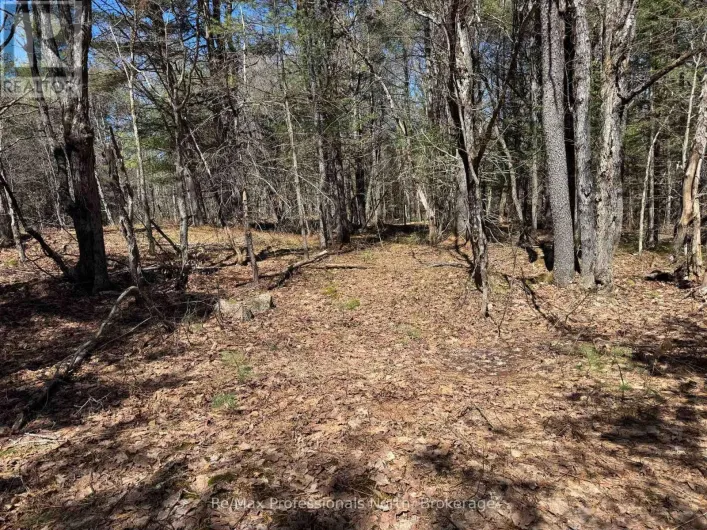 LOT 15 PLUS LOT 16 CON 2 DRAPER, Bracebridge