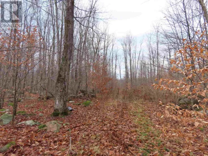 Lot 17 Concession S, Hilton