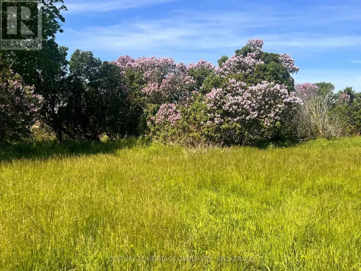 LOT 17 SOUTH SHORE ROAD, Loyalist