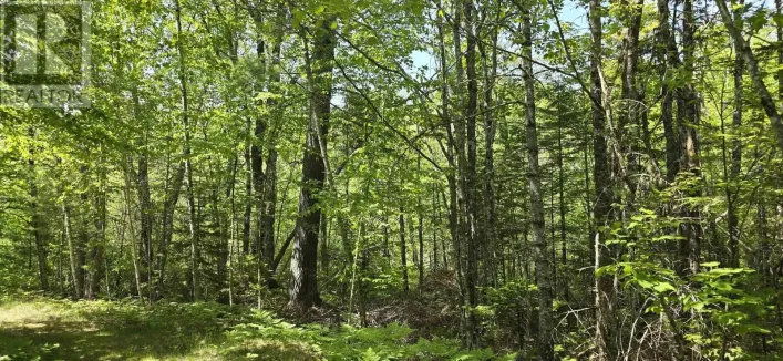Lot 174A Spruce Drive, Hemford