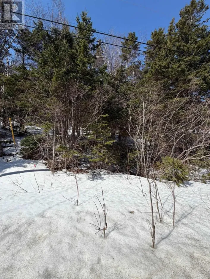 Lot 19 Scotsville Rd, Kenloch, Nova Scotia, B0E 1N0, Kenloch