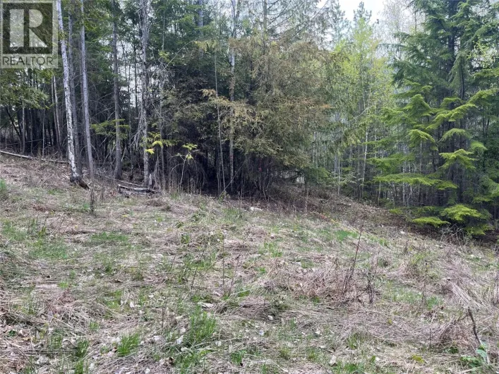 Lot 2 BALFOUR Avenue, Kaslo